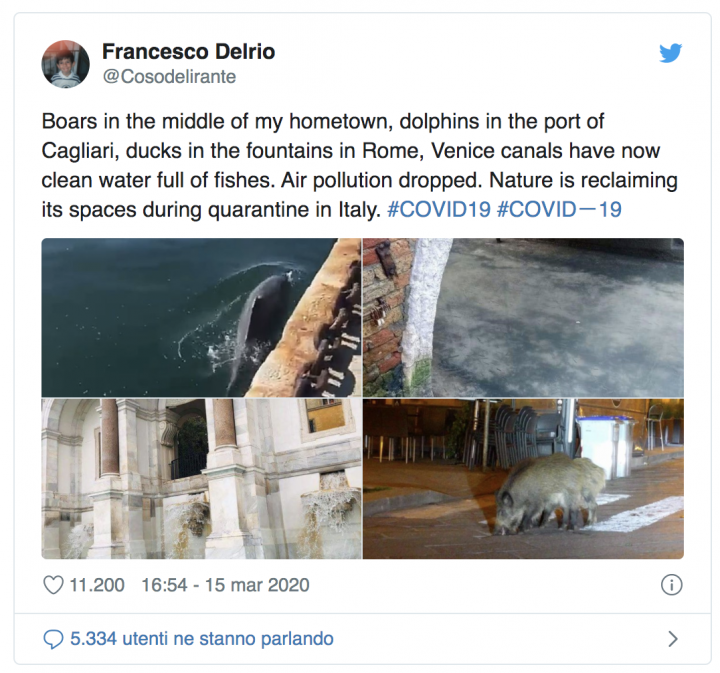 clima delfini venezia covid